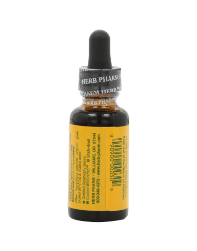 Herb Pharm Stone Breaker (Chanca Piedra) Compound for Urinary System Support - 1 Ounce